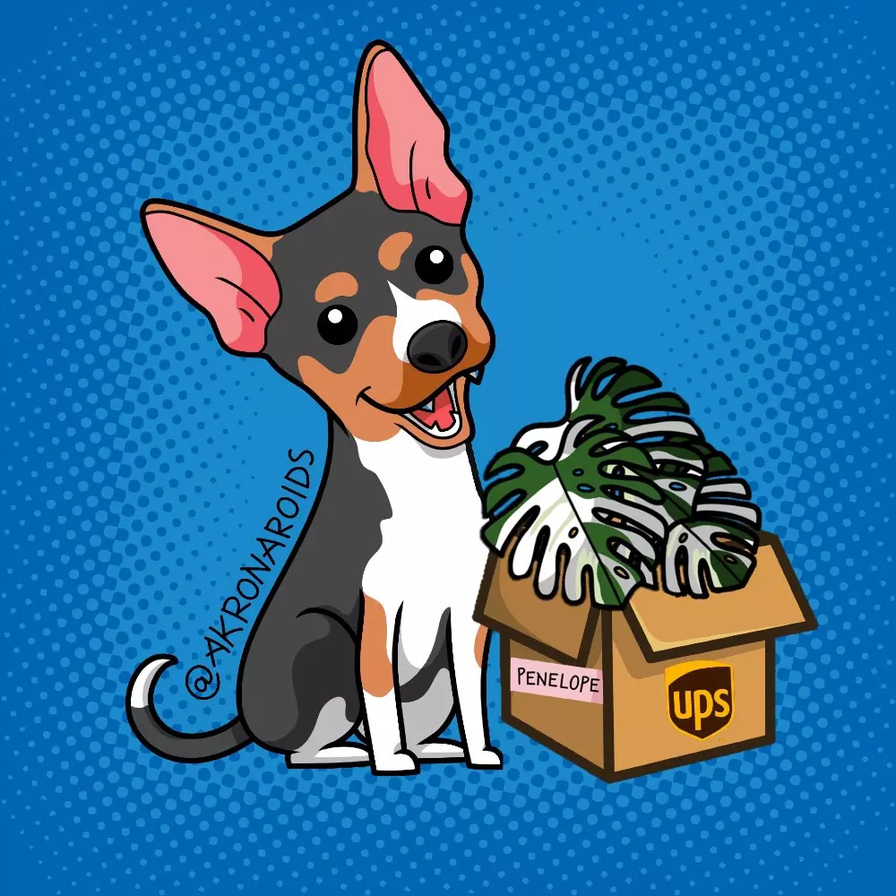 UPS 2 Day upgrade  *ADD ON* thumbnail