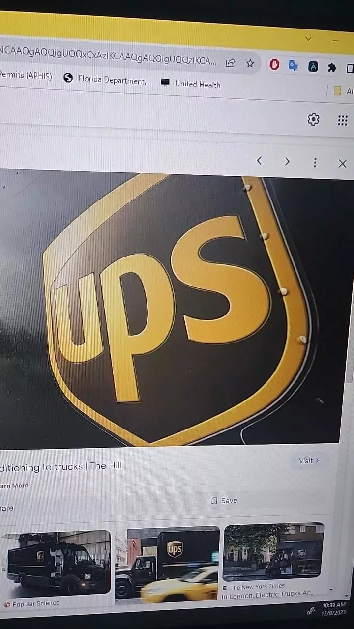 UPS next day air saver thumbnail