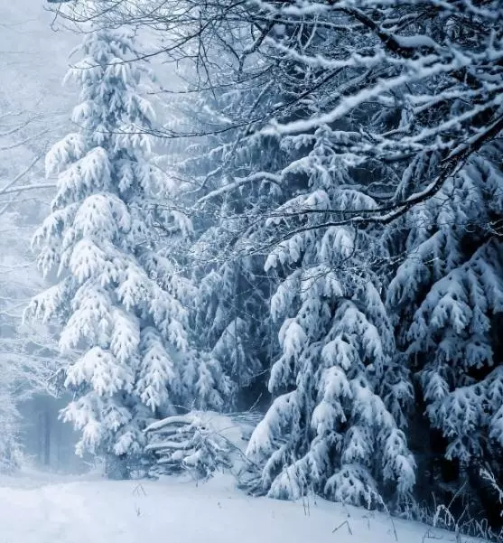 *WINTER SHIPPING* thumbnail