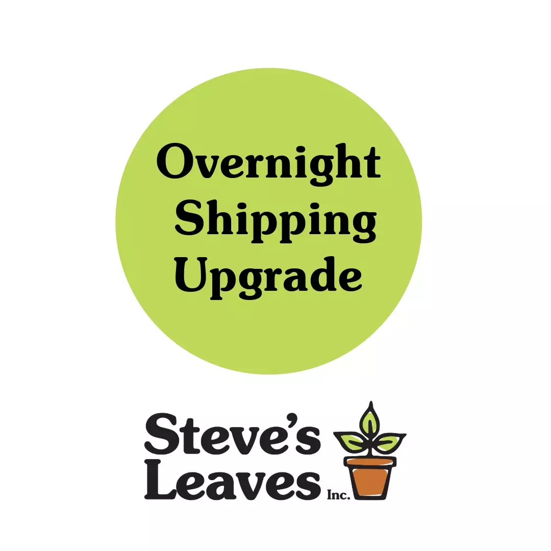 FedEx - Overnight Shipping Upgrade thumbnail