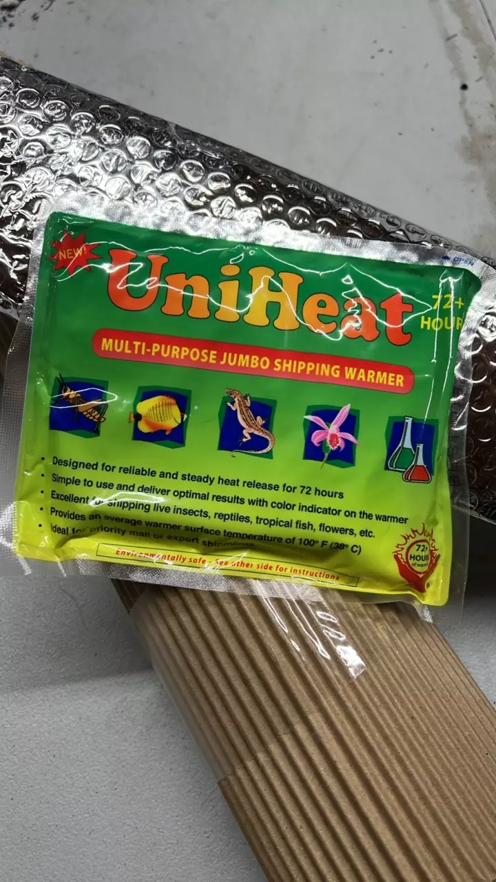 Winter Packing thumbnail