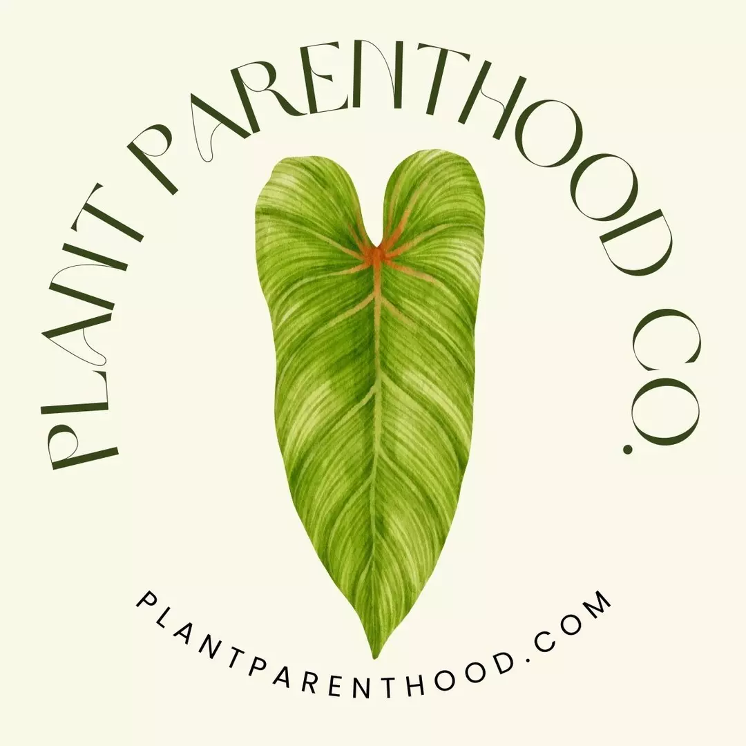 Upgraded shipping 6-10 plants thumbnail