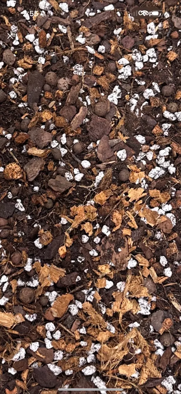 Custom Aroid Mix 2lb thumbnail