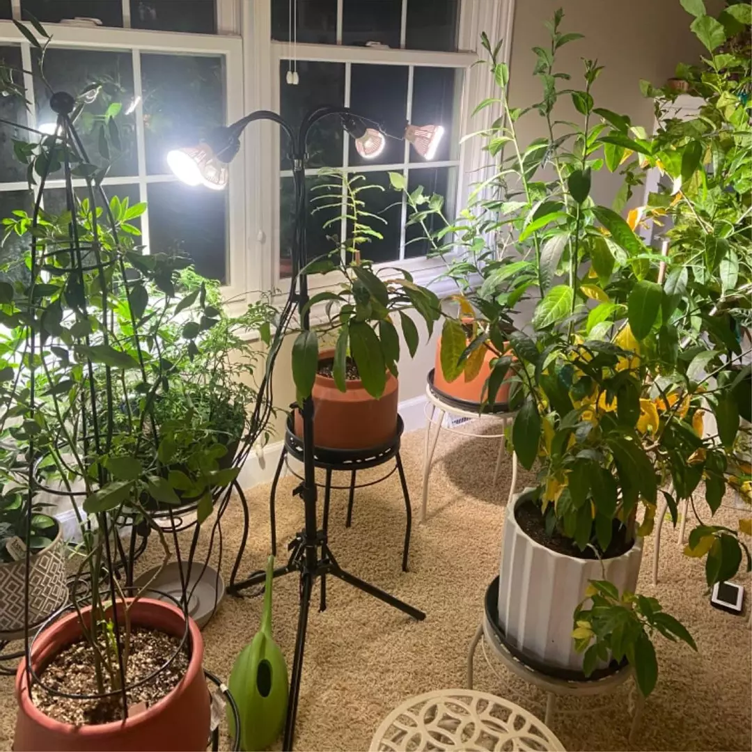 SANSI 90W Grow Light With Adjstable Tripod Stand thumbnail