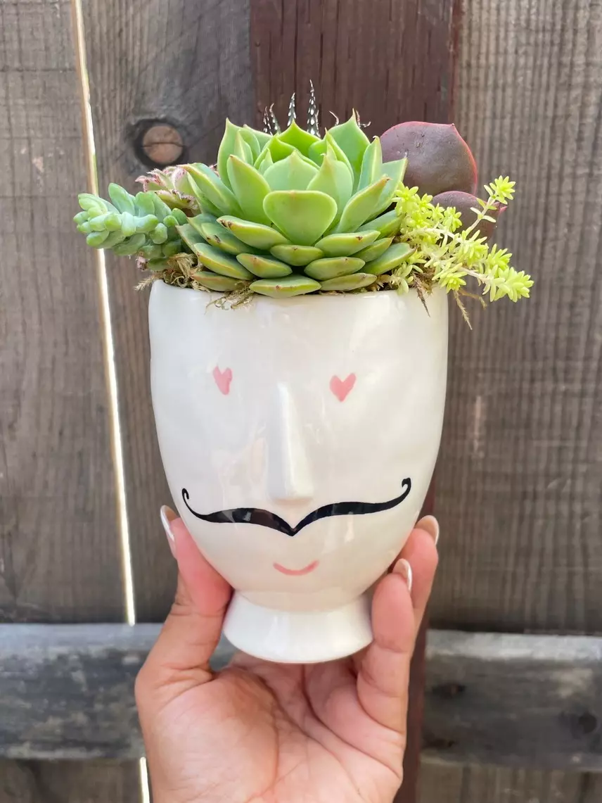 Monsieur Footed Planter Succulent Arrangement thumbnail