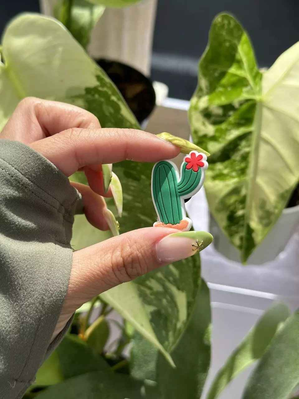 Cactus croc charm thumbnail