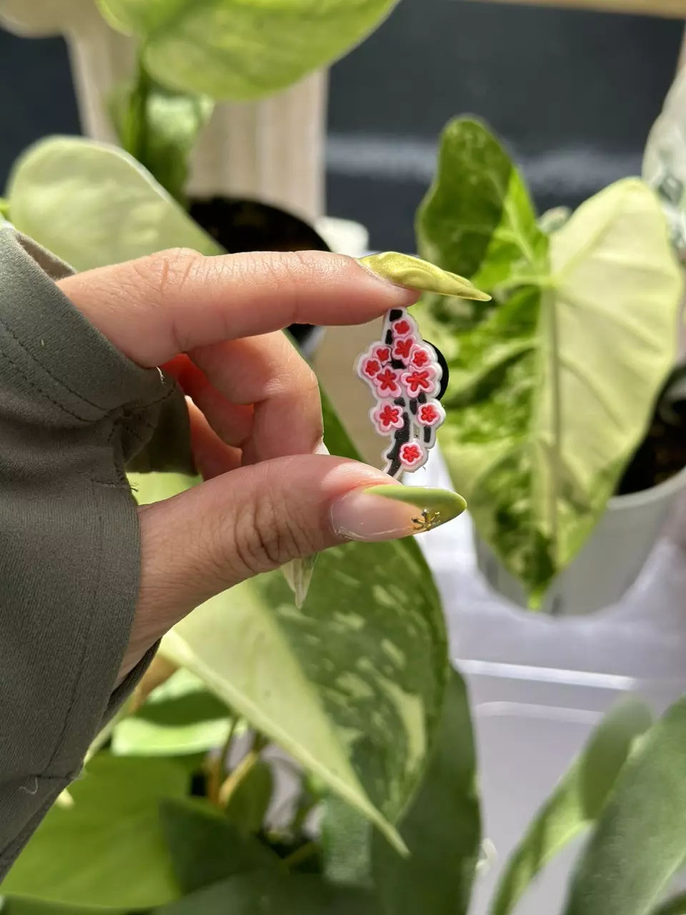 Cherry blossom croc charm thumbnail