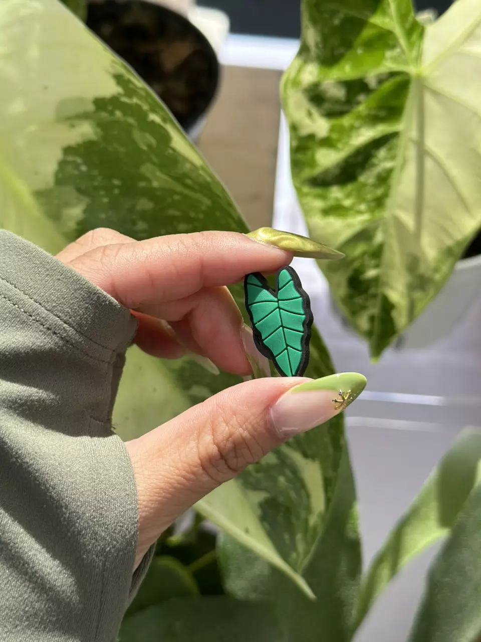 Alocasia croc charm thumbnail