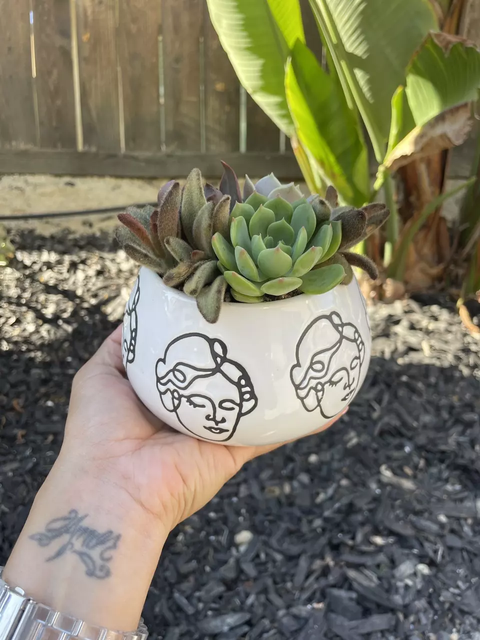 Goddess Succulent Arrangement thumbnail