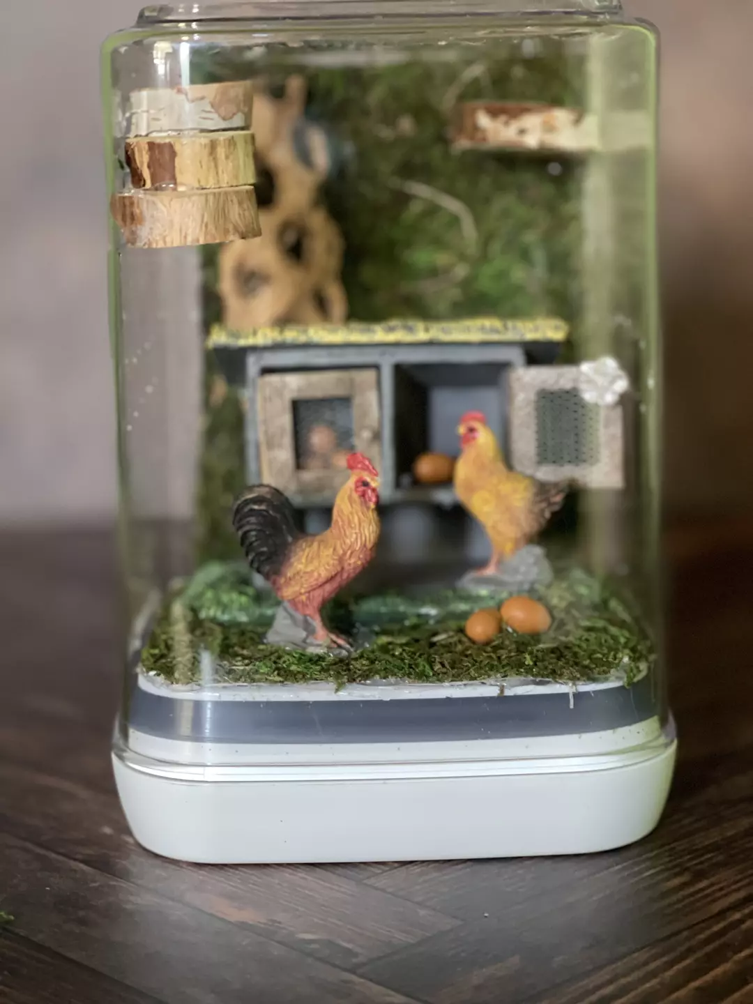 Jumping Spider Enclosure - Chicken Coop Theme thumbnail