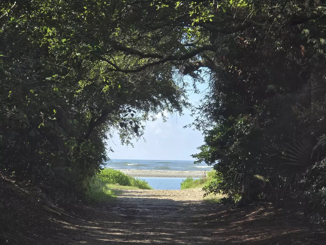 Tropical Vista thumbnail