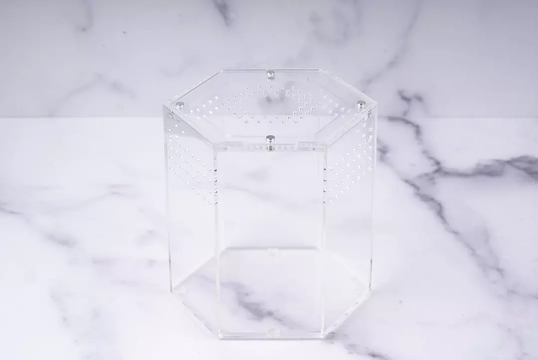 Hexagon Acrylic Display & Transport Enclosure for Crested Geckos thumbnail