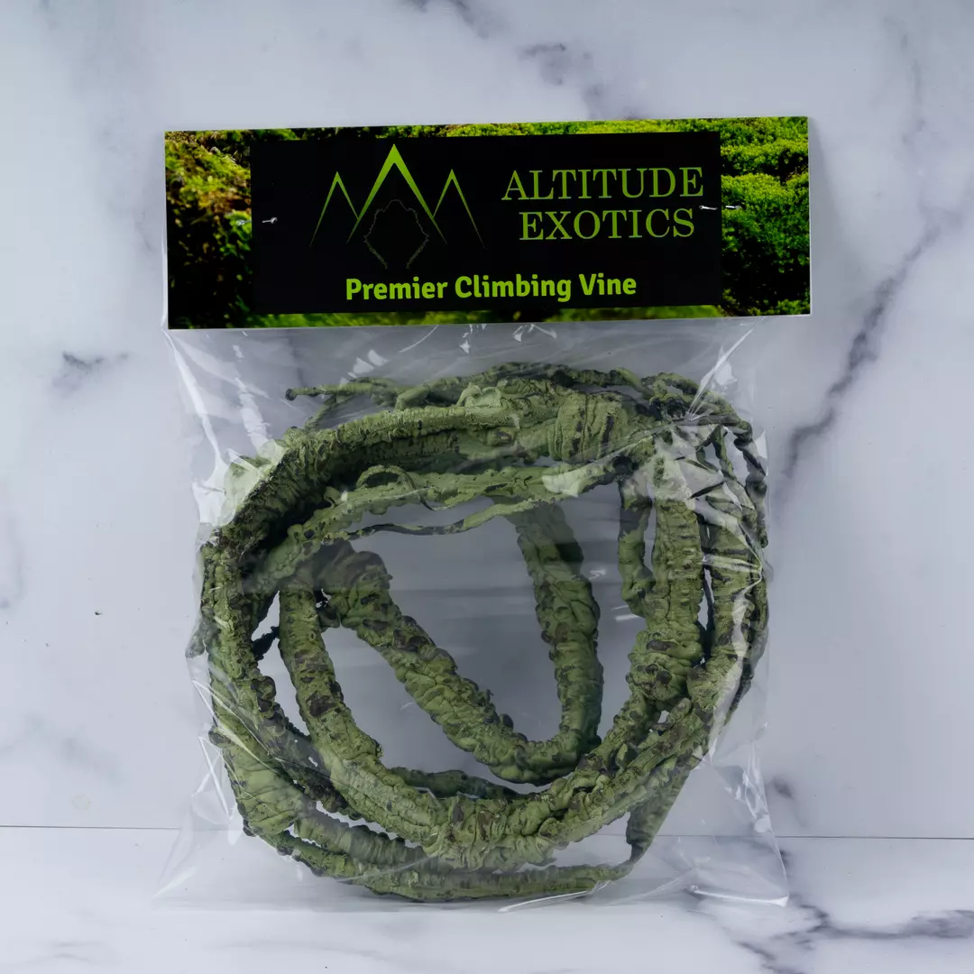 Altitude Exotics Premier Climbing Vine- Dark Green thumbnail