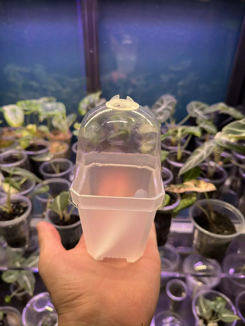 3 inch vented dome pot thumbnail