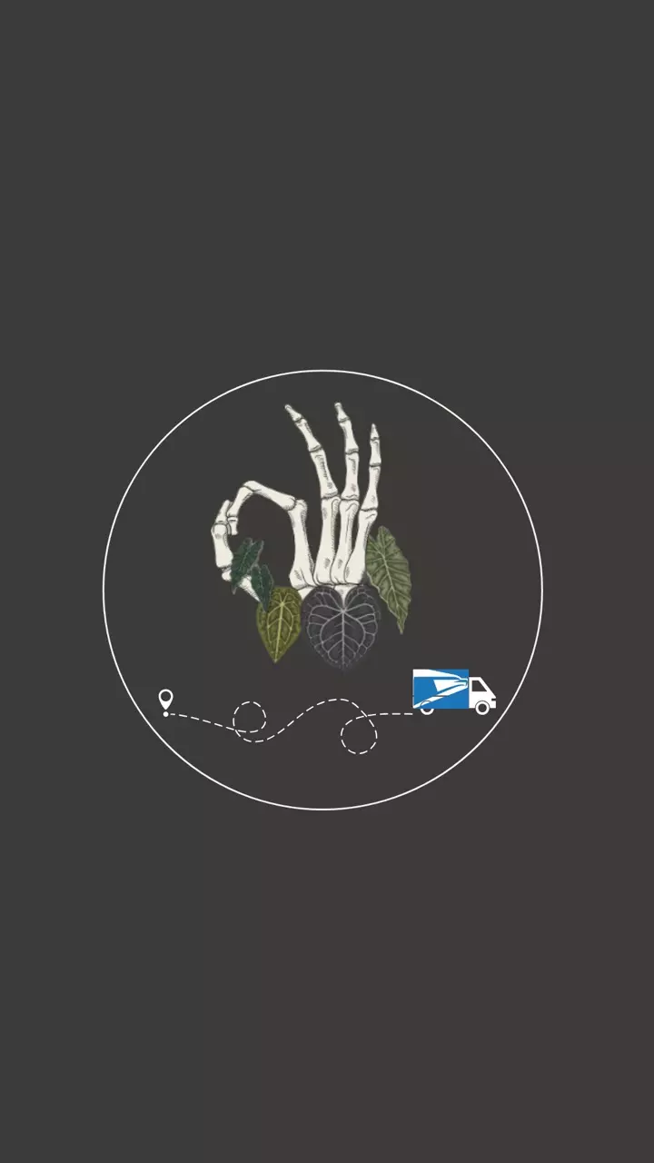 USPS Priority Express thumbnail