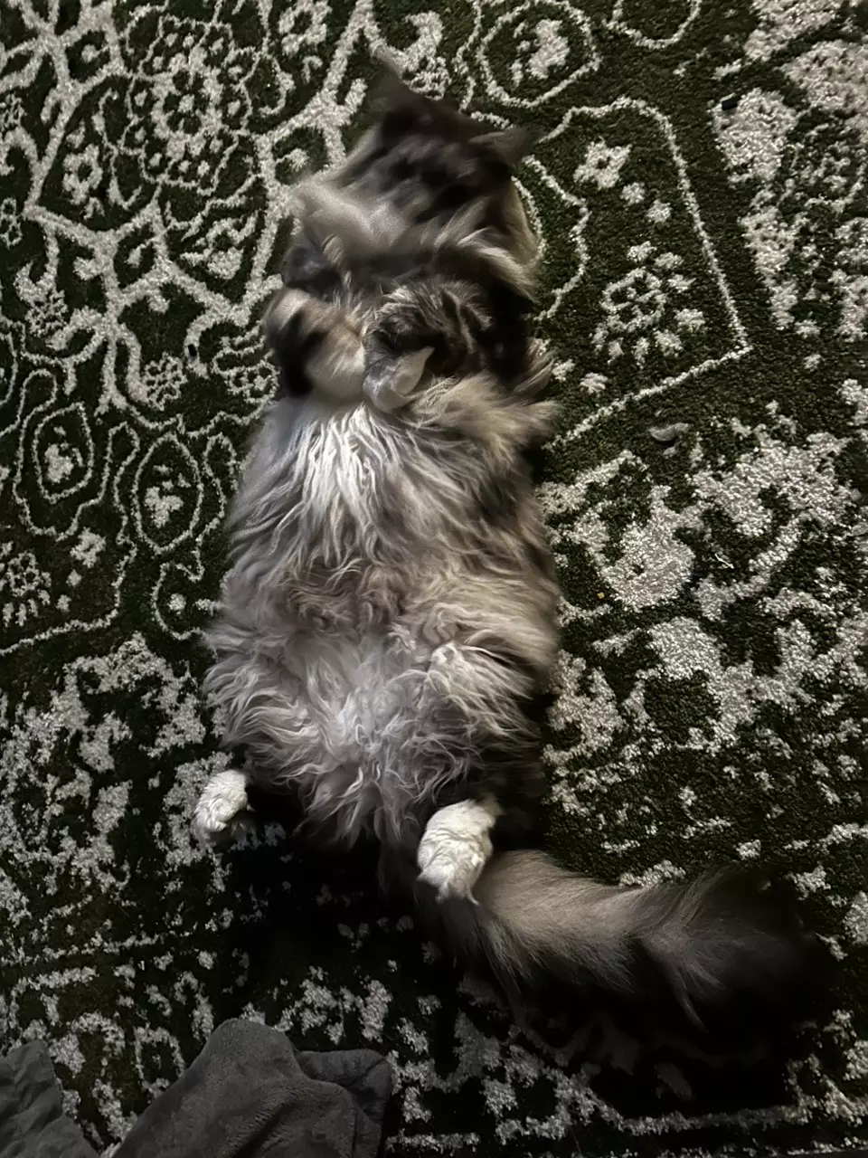 Add on test thumbnail