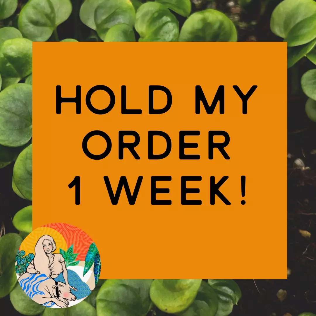 Hold My Shipment for 1 week! thumbnail