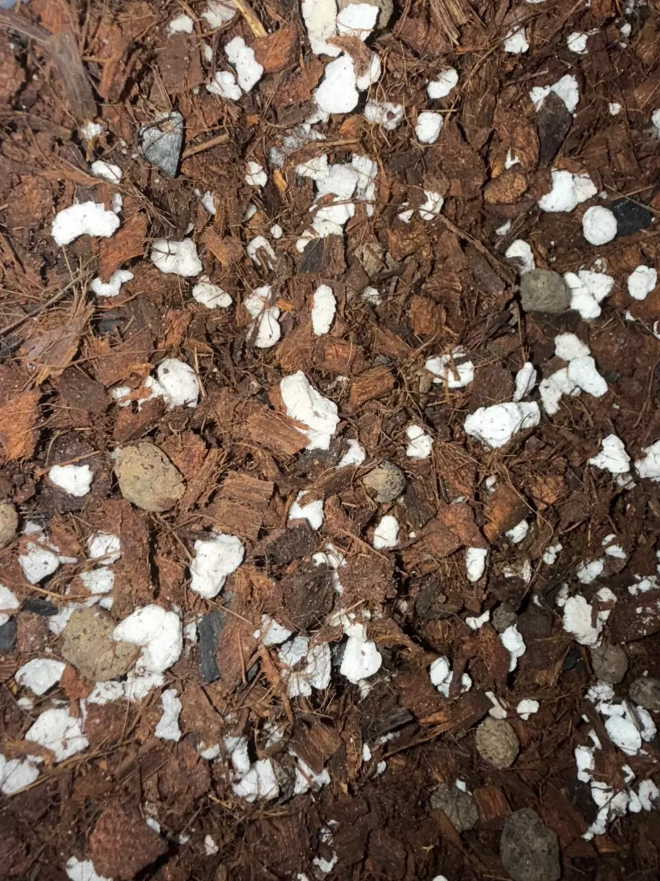 1 gallon bag of chunky mix thumbnail