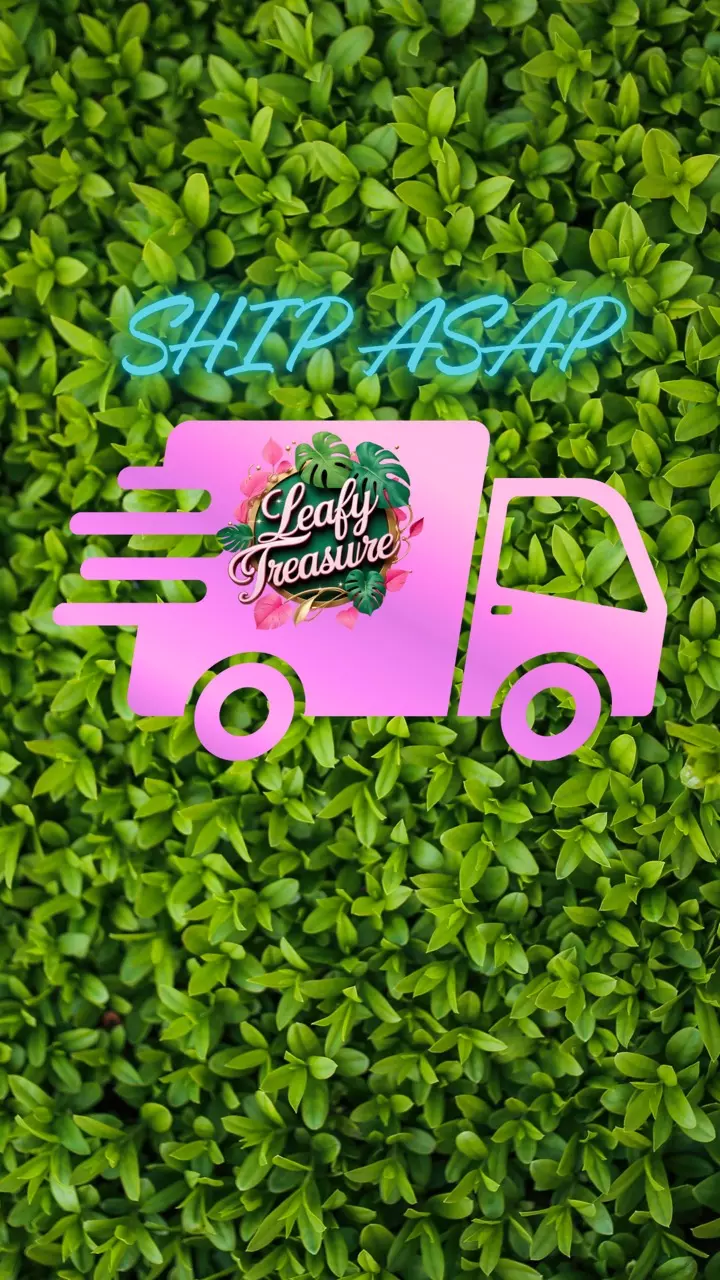 SHIP MY PLANTS ASAP!(Please) thumbnail