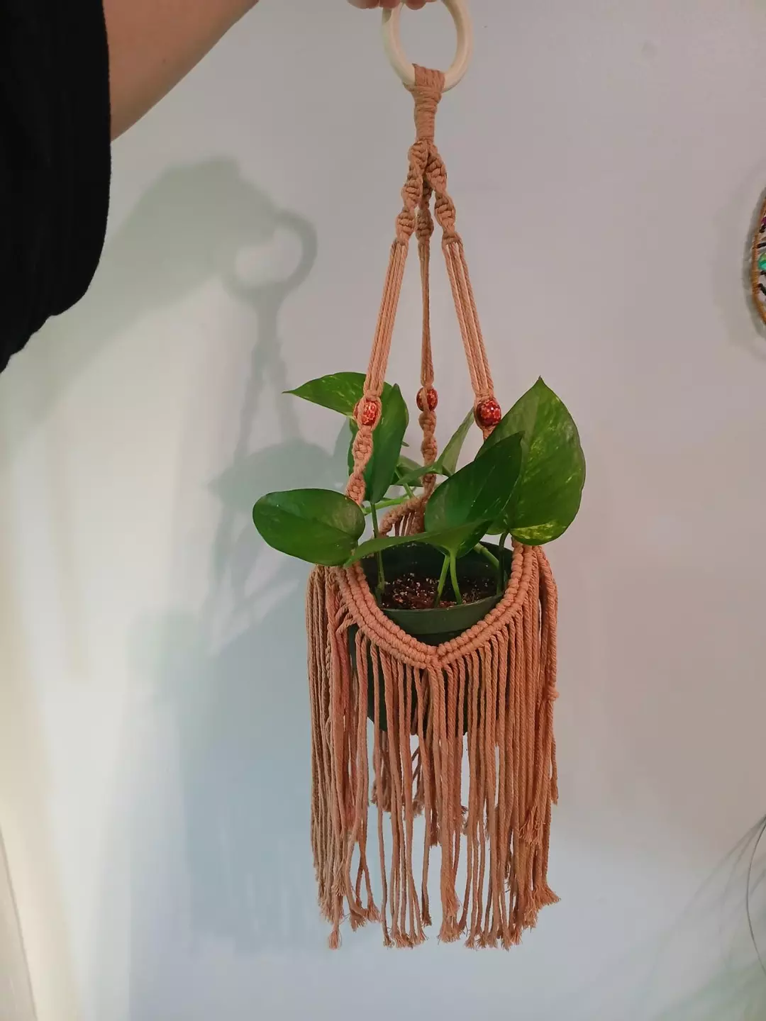 Boho Plant Hanger thumbnail