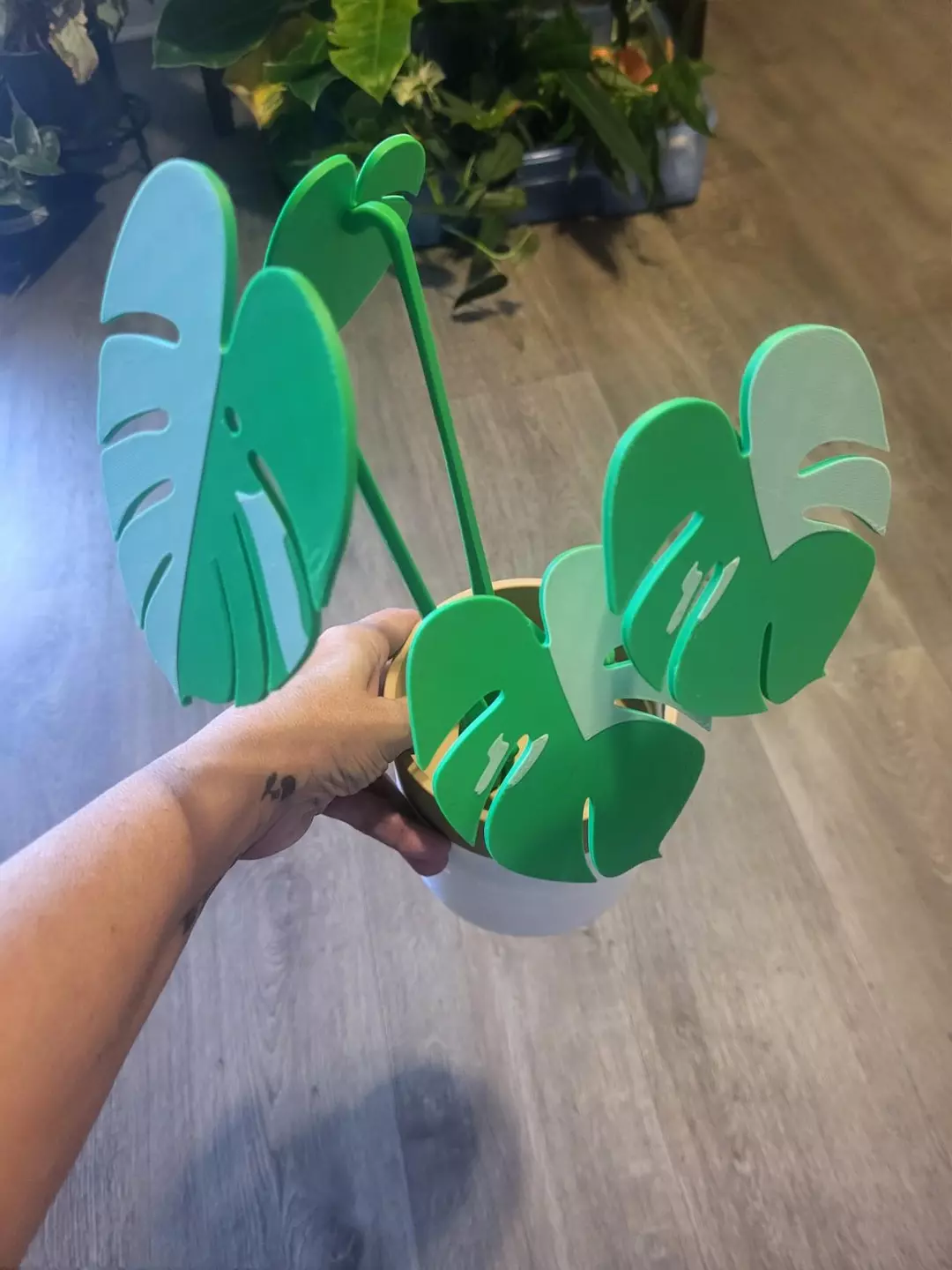 Monstera coaster set thumbnail