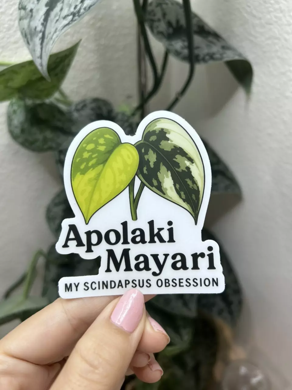 Apolaki & Mayari Clear Sticker 3” thumbnail