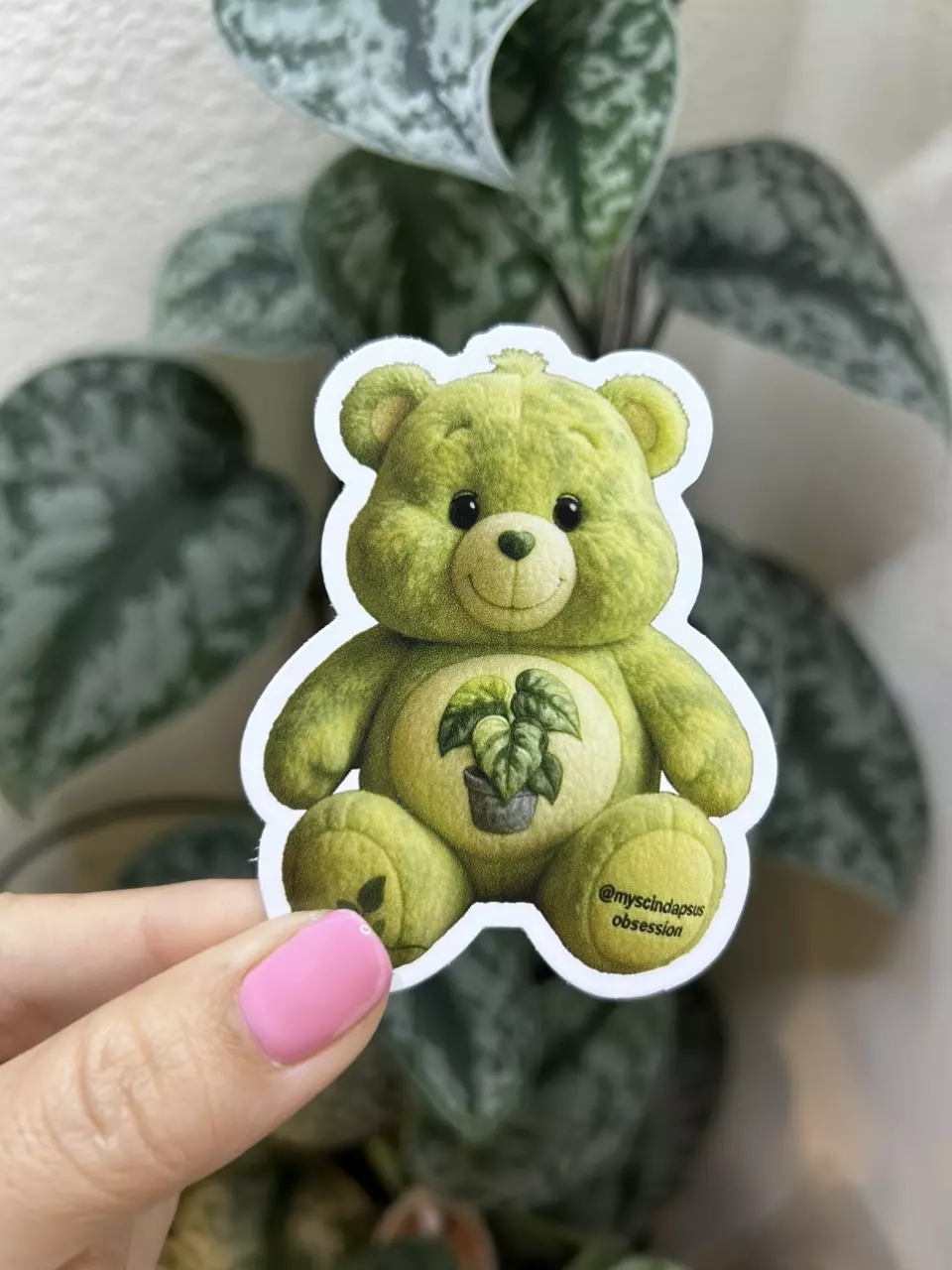 Scindapsus Care Bear Sticker thumbnail