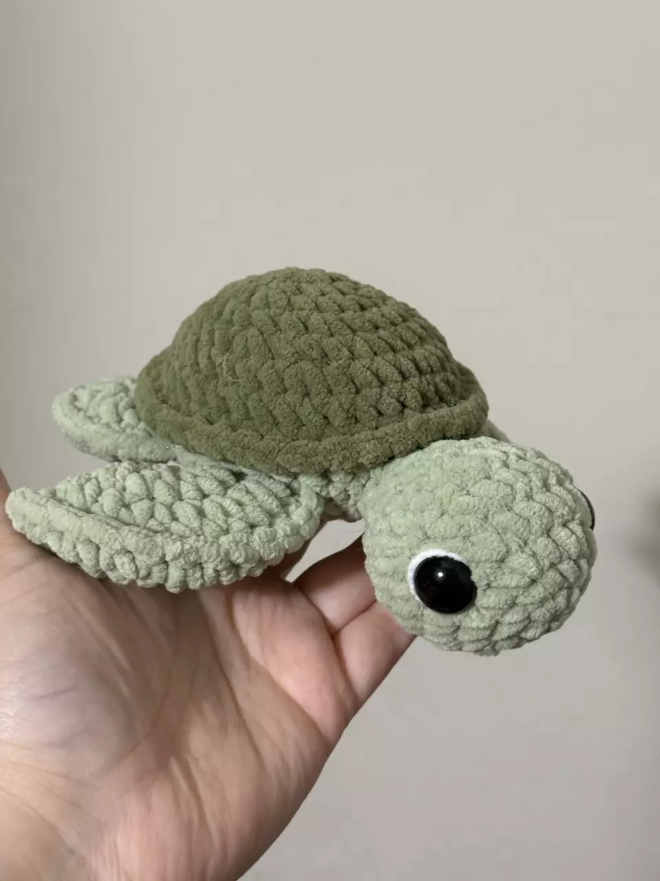 Baby sea turtle thumbnail