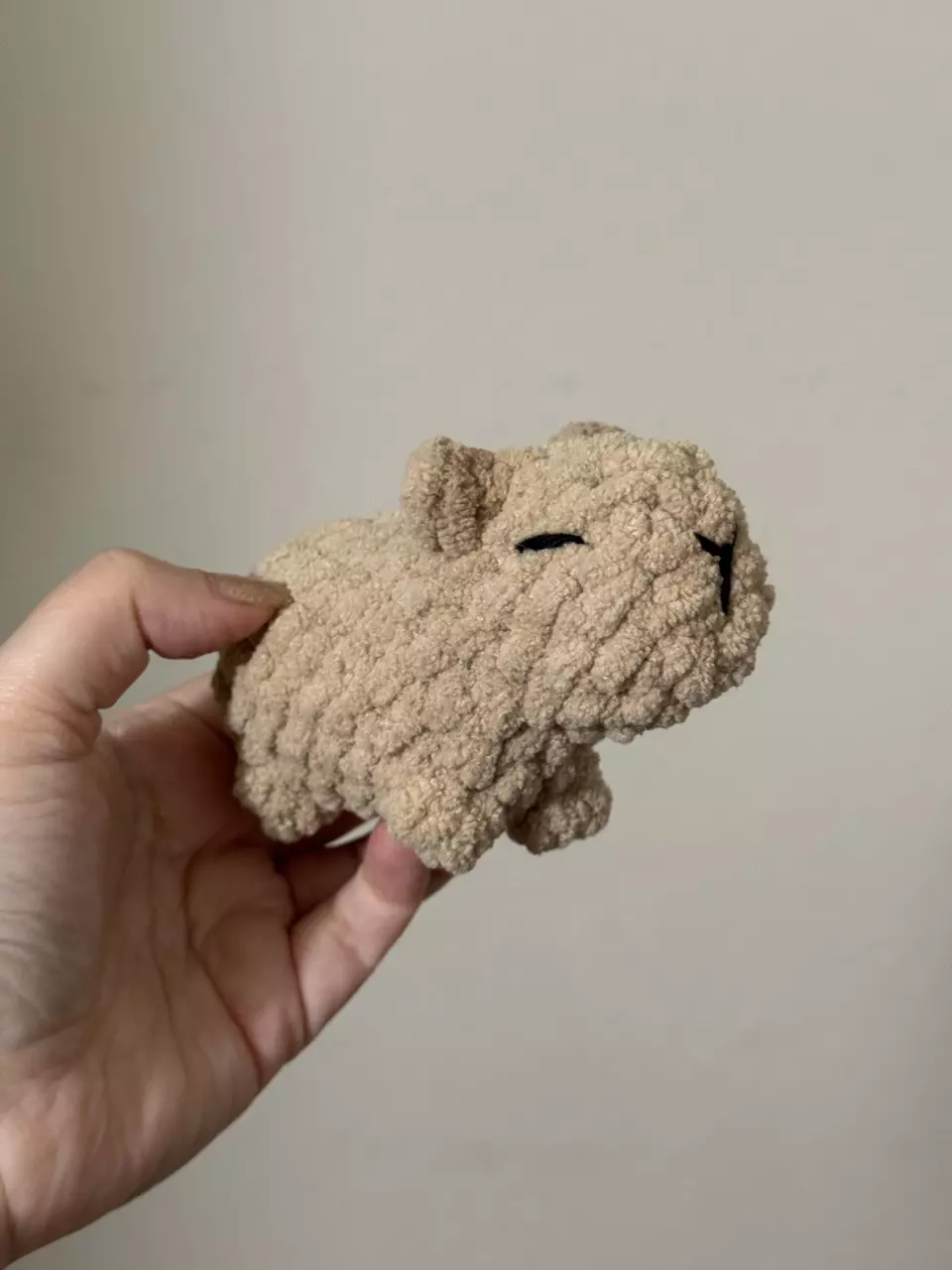 Bebe Capybara thumbnail