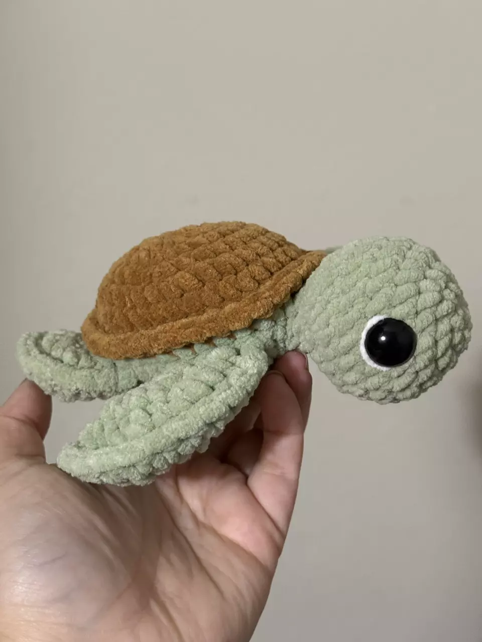 Baby sea turtle thumbnail