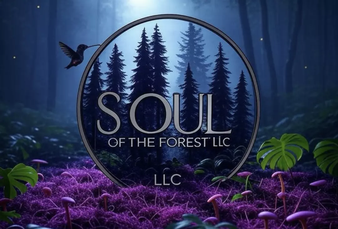 🛡️ Insulation to protect your package from cold 🥶 weather 📦 thumbnail