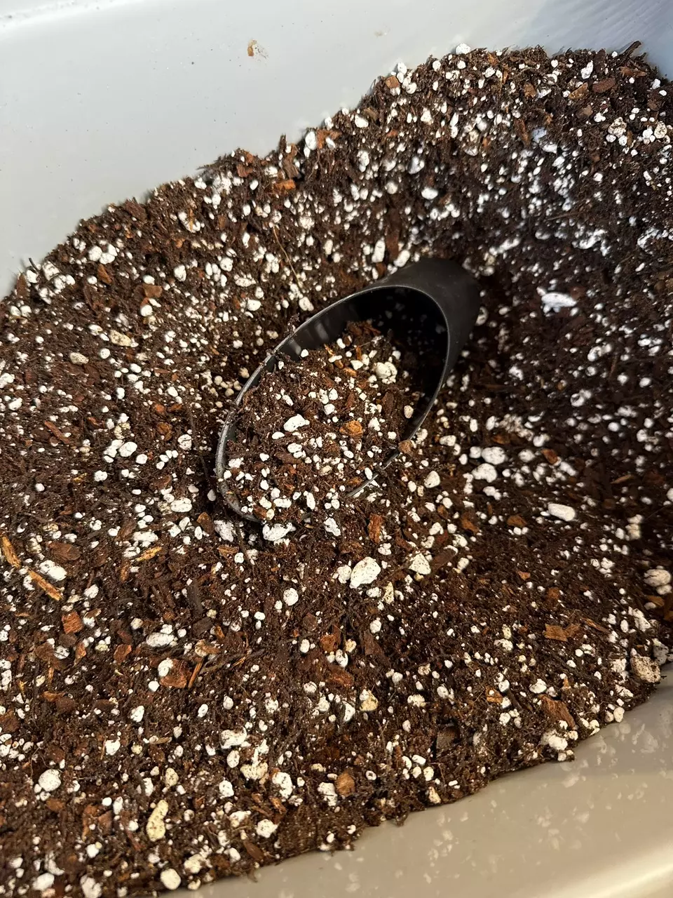 Premium Seedling & Hoya Mix thumbnail