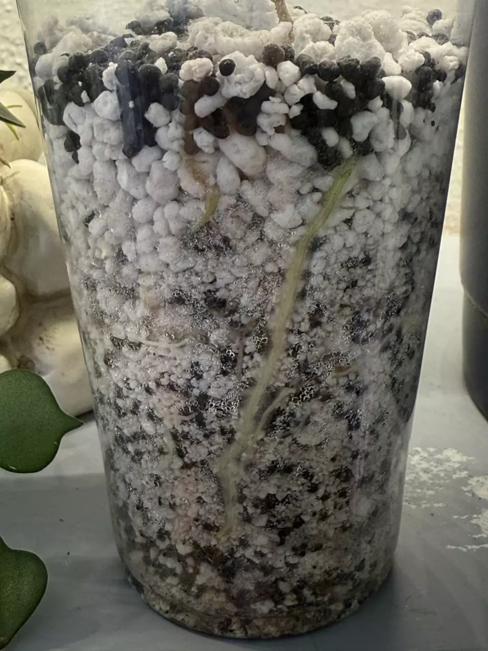 Prop & Rebab Mix thumbnail