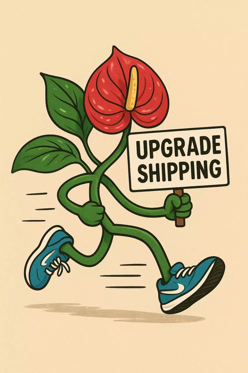 Upgrade Shipping Quote thumbnail
