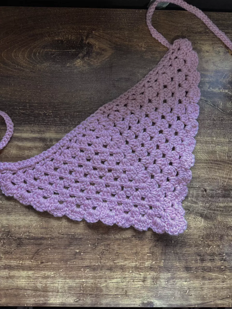 🩷Pink Bandana🩷 thumbnail