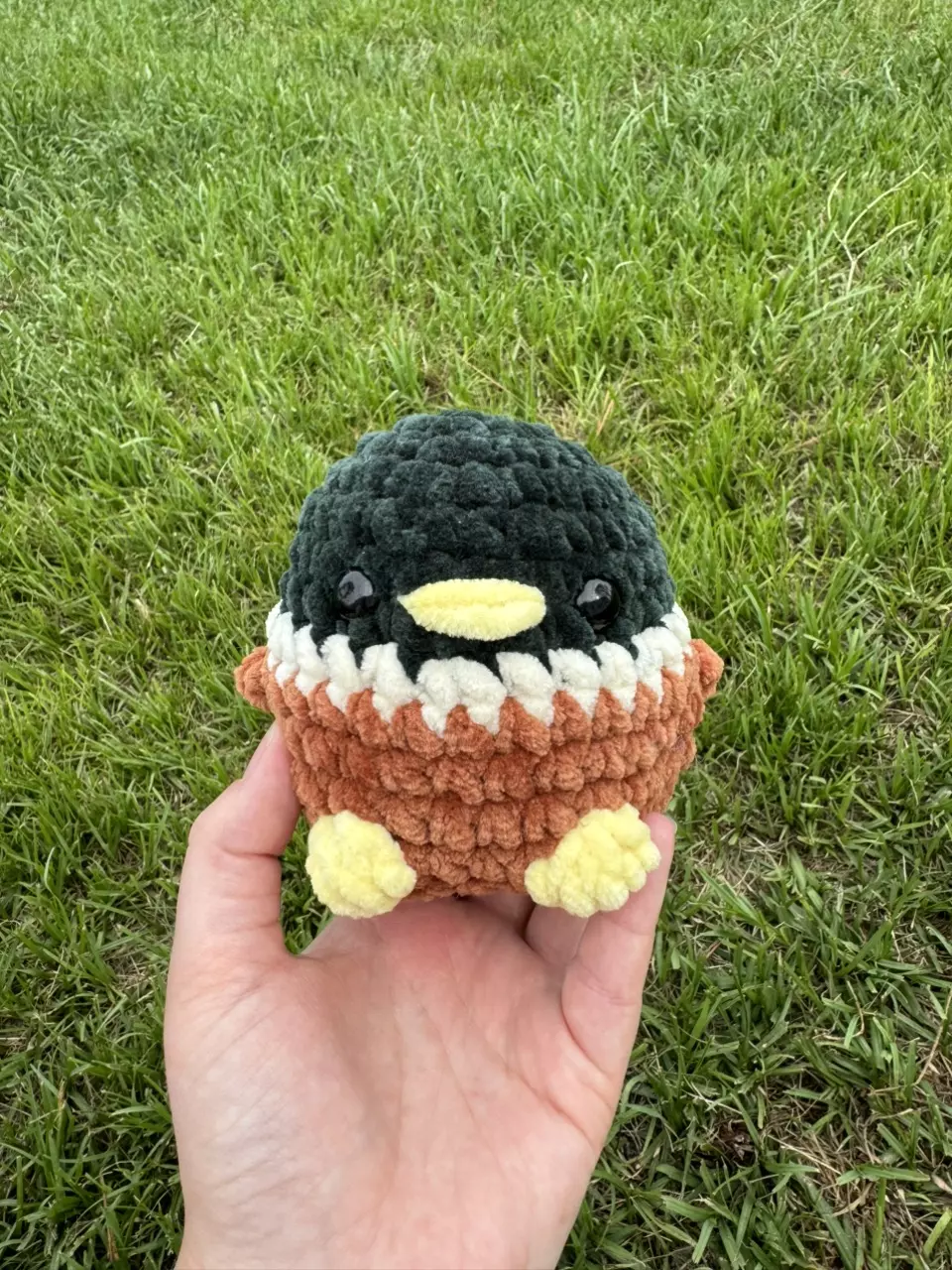 Mallard duck thumbnail