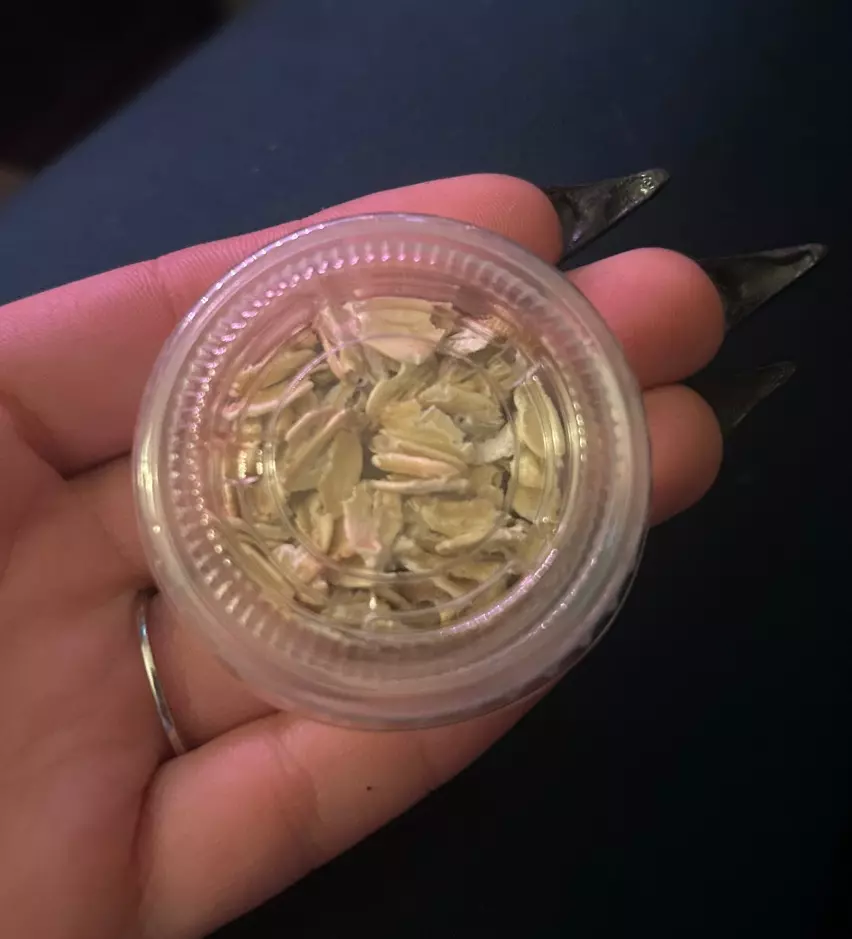 25 count mini mealworms thumbnail