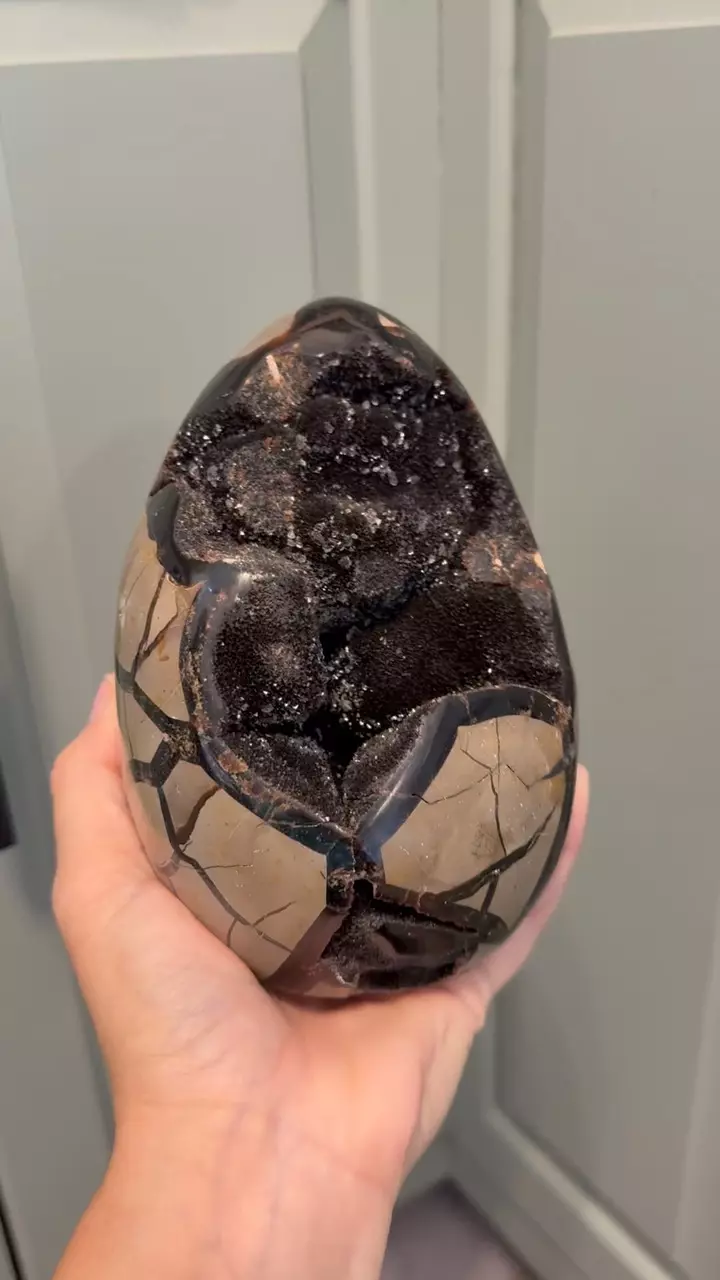 druzy septarian Nodule w/ micro calcite thumbnail
