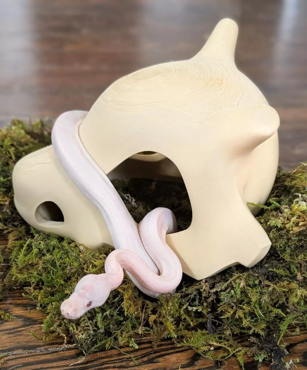 Cute video game themed skull hide for snakes, geckos, and reptile enclosures thumbnail