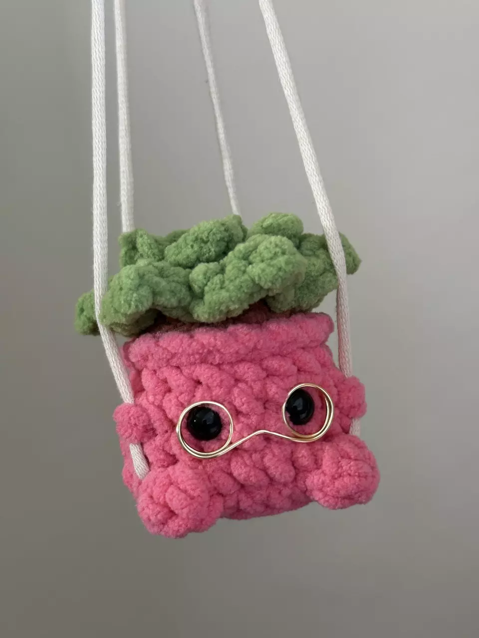 Suki the succulent - hanging plant thumbnail