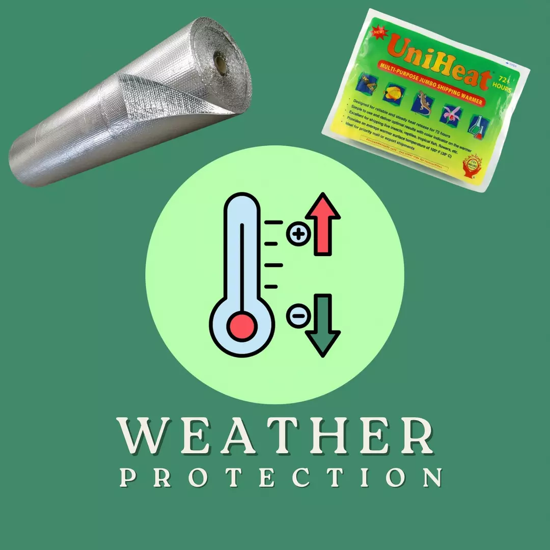Weather Protection Upgrade thumbnail