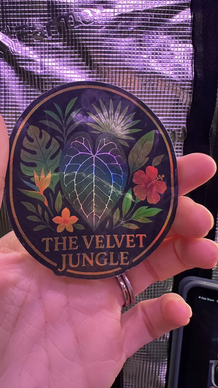 The Velvet Jungle sticker thumbnail
