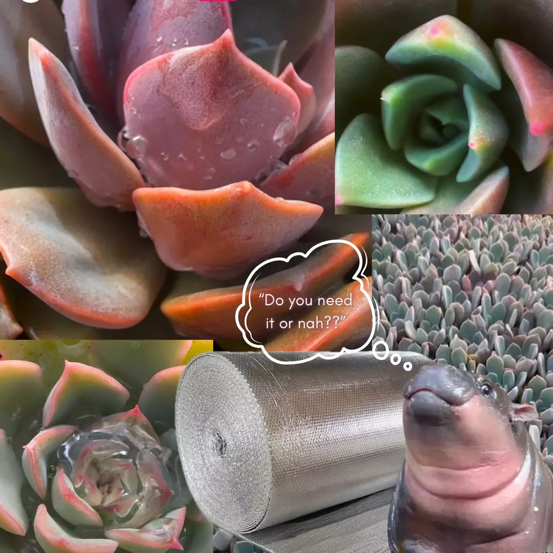 Insulation Upgrade thumbnail