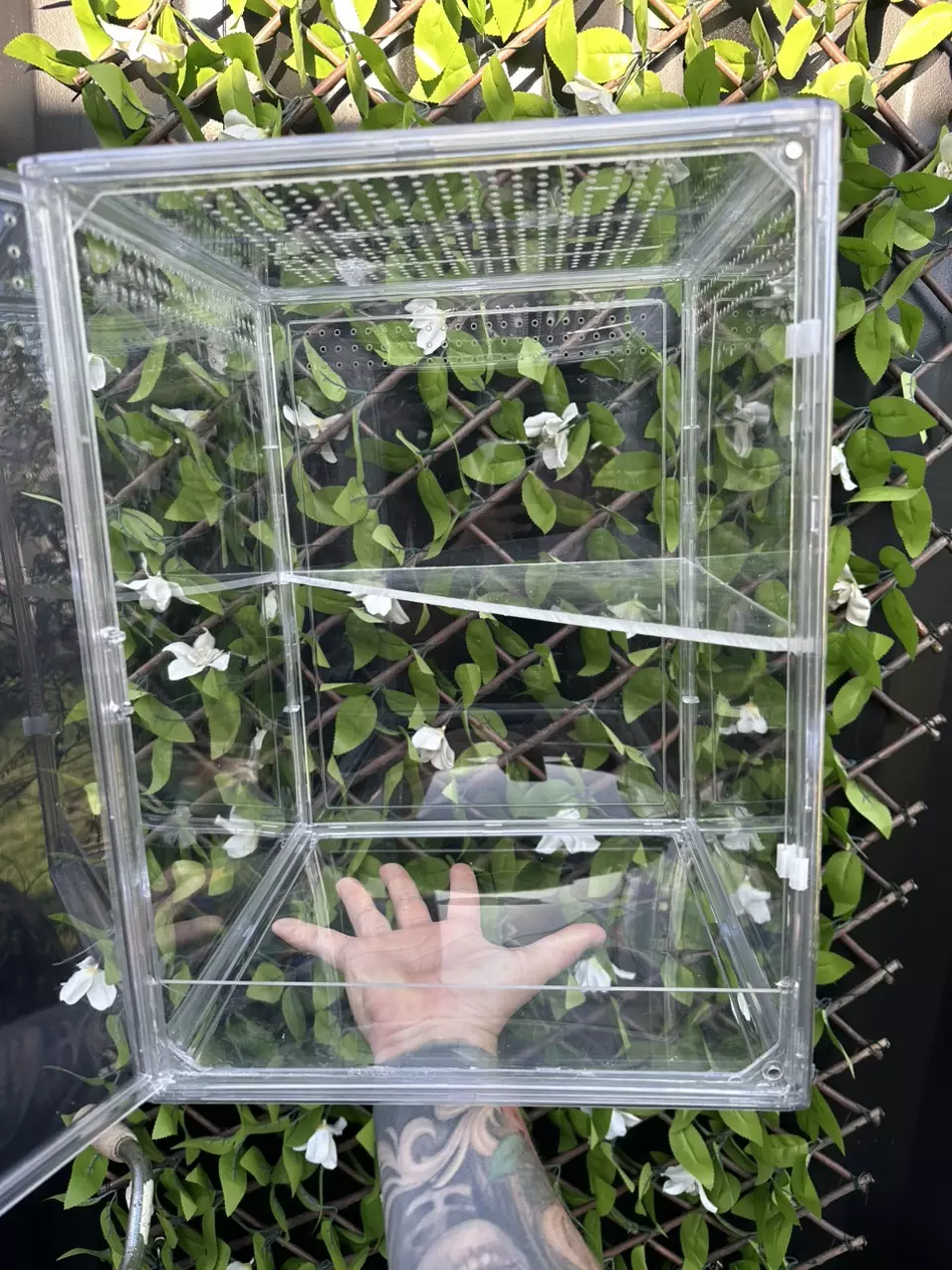 Plant Mini Cabinet! Includes triangle Shelf for added surface space for plants thumbnail