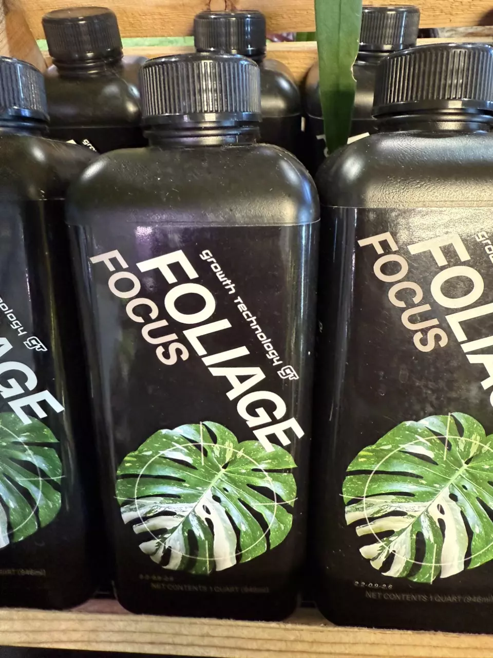 Foliage Focus thumbnail