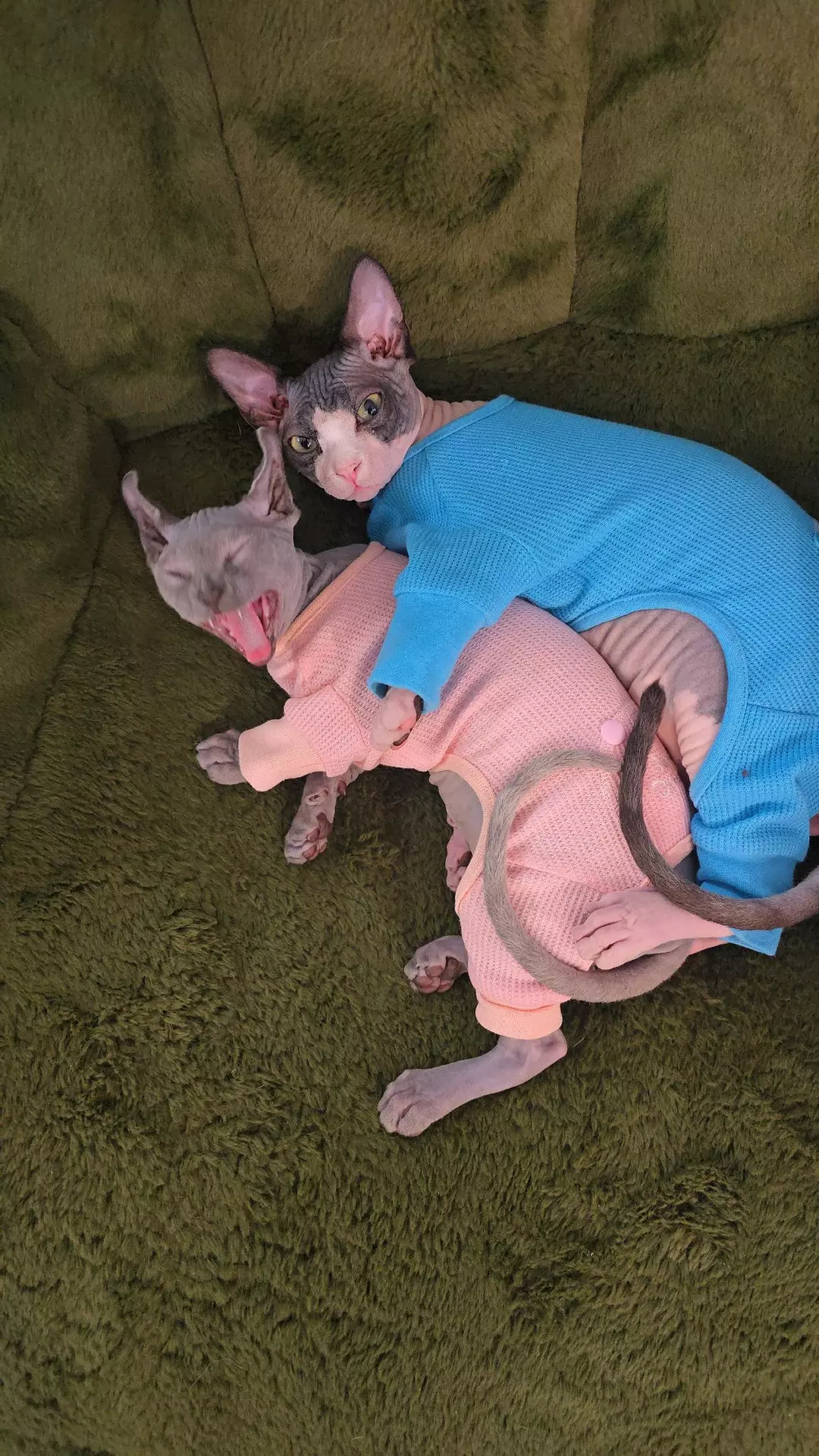 Insulation for winter shipping thumbnail