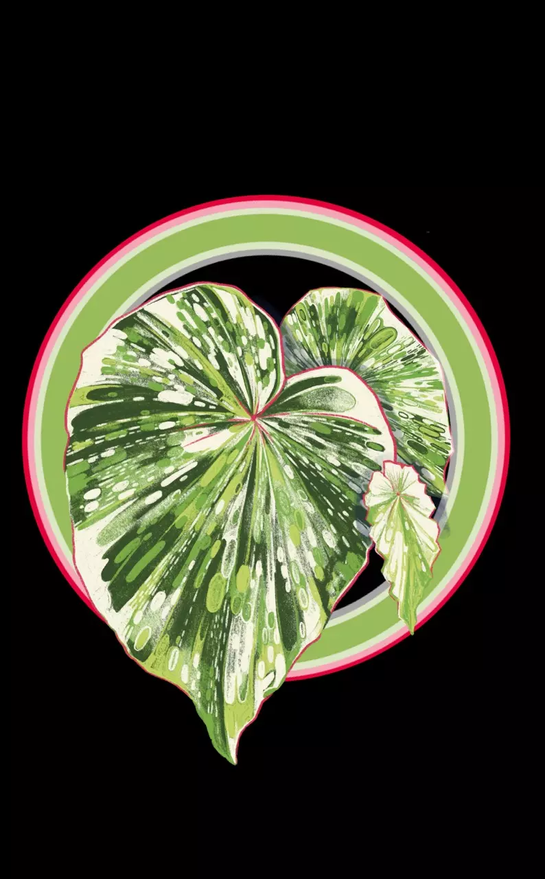 Winter TC Insulation thumbnail