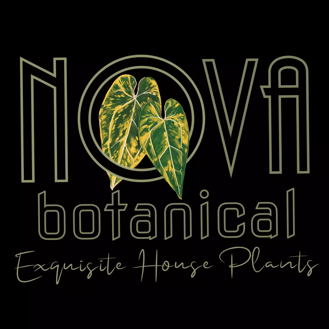 Winter Plant Insulation thumbnail