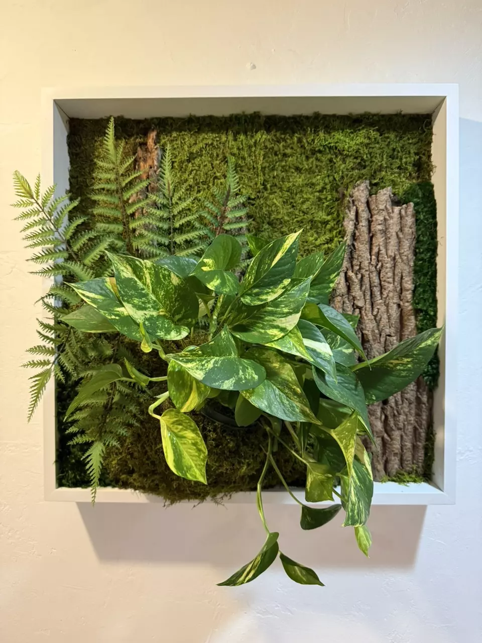 Wall-Mounted Living Frame: Green Plants and Moss Decor thumbnail