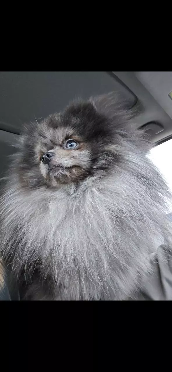 Insulation thumbnail